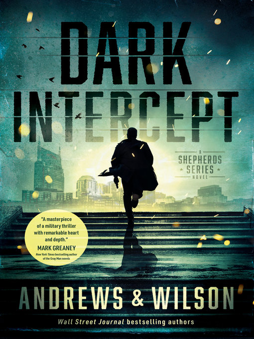 Cover image for Dark Intercept